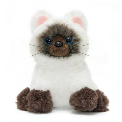 Ensemble de jeu pour habiller les chatons