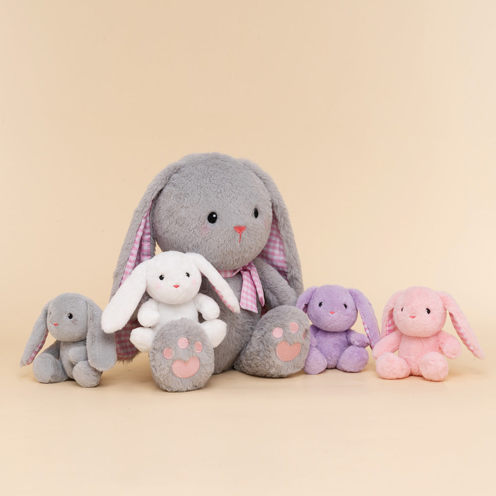 Ensemble de Jeu en Peluche de Famille Lapins avec 4 Bébés Coffrets Cadeaux pour Tout-petit