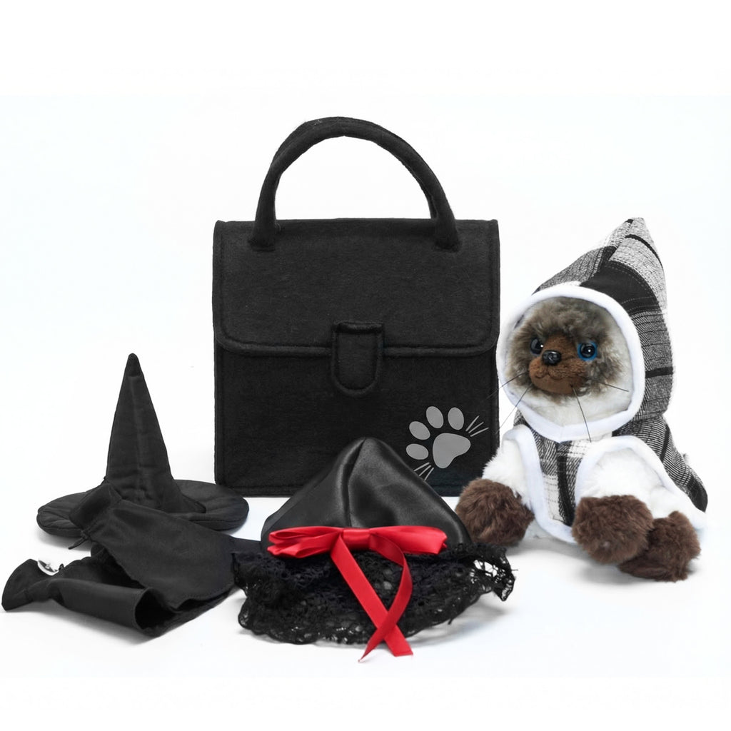 Ensemble de jeu pour habiller les chatons