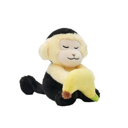 Peluche singe capucin avec 4 bébés