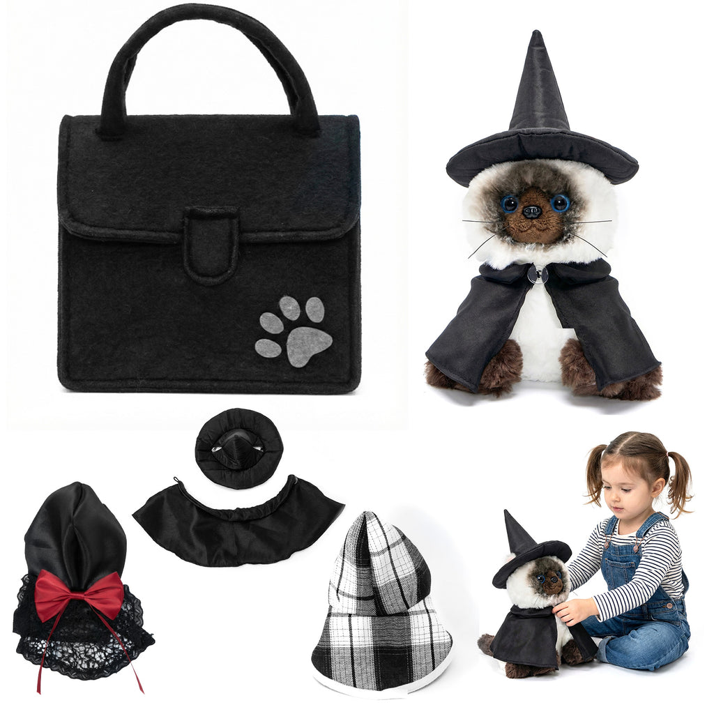 Ensemble de jeu pour habiller les chatons