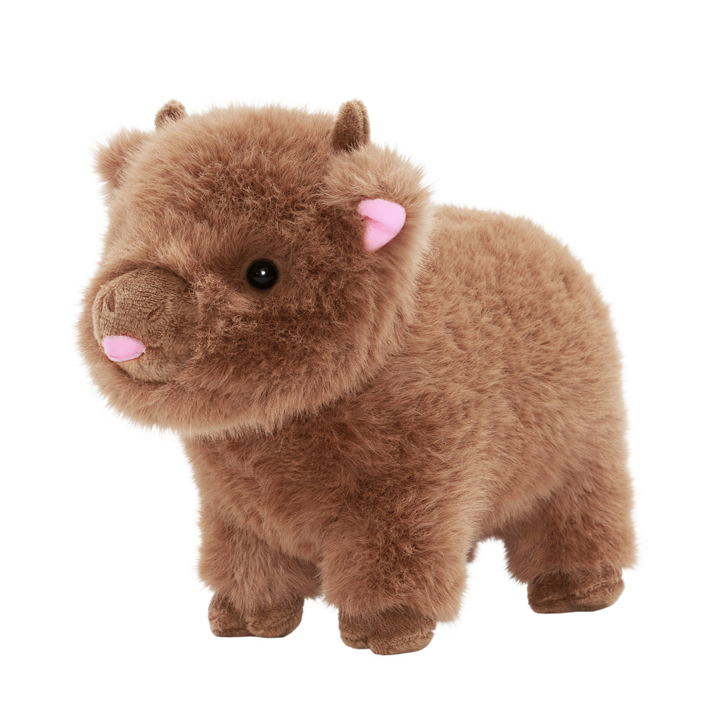 Mini bébé vache des Highlands