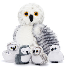 Charger l&#39;image dans la galerie, Peluches famille Hibou avec 4 bébés