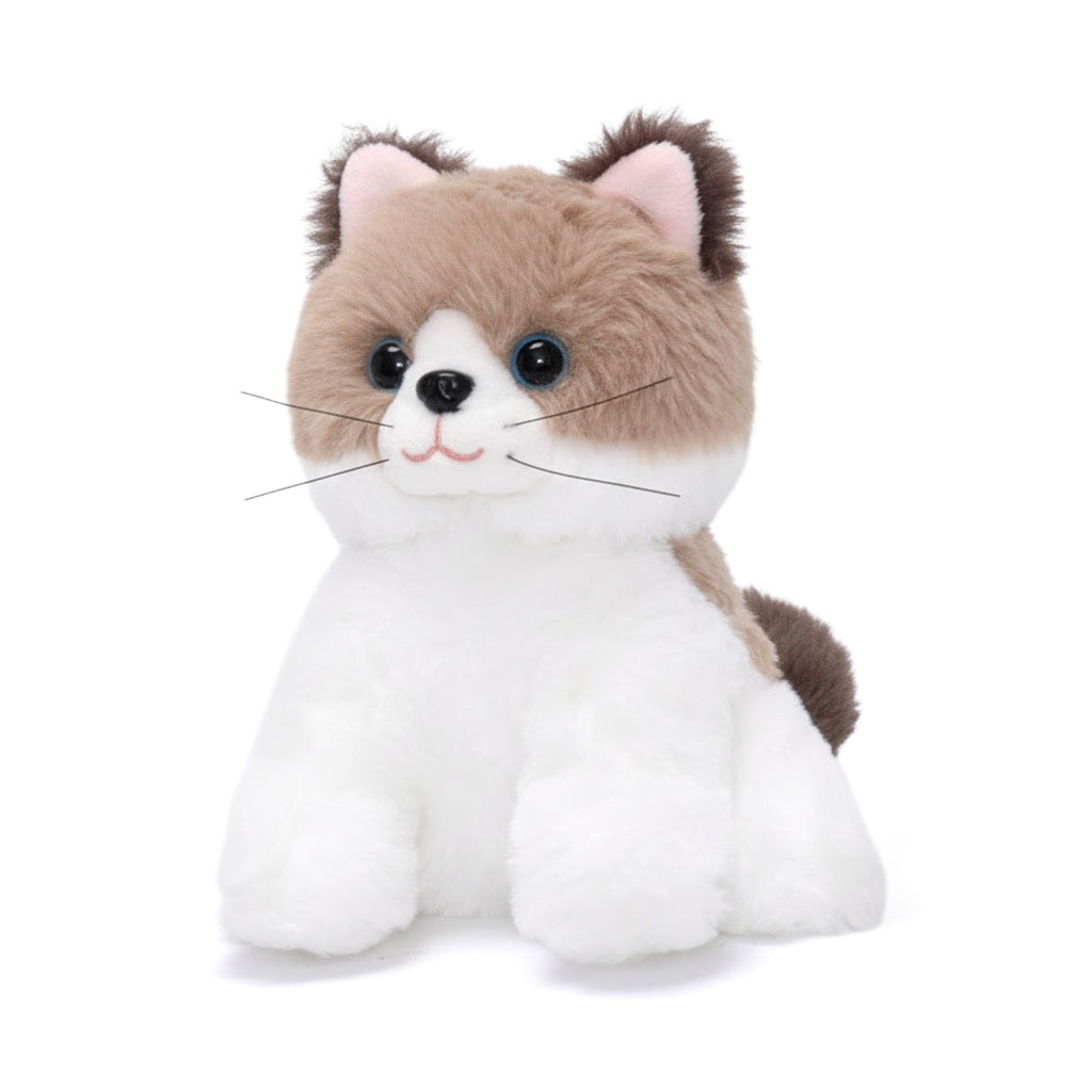 Ensemble de jeu pour habiller les chatons