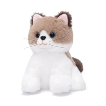 Charger l'image dans la galerie, Ensemble de jeu pour habiller les chatons