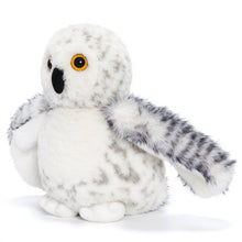 Charger l&#39;image dans la galerie, Peluches famille Hibou avec 4 bébés