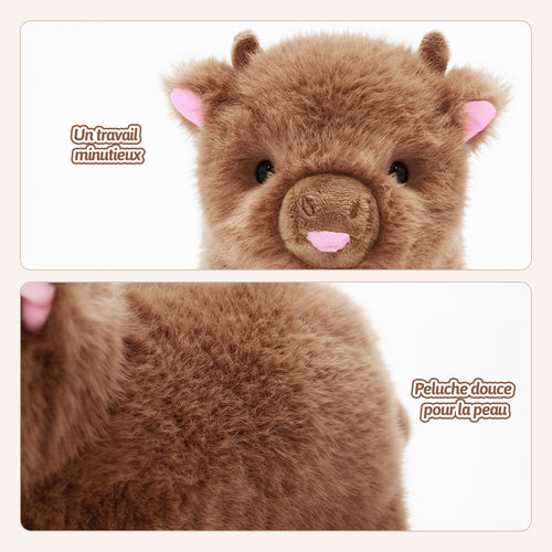 Mini bébé vache des Highlands