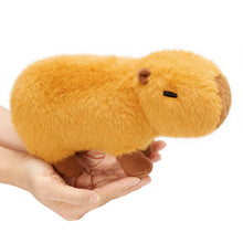 Charger l&#39;image dans la galerie, Mini Peluche Capybara Mignonne De 22 cm, Jouet Pour Enfants De Style Animal