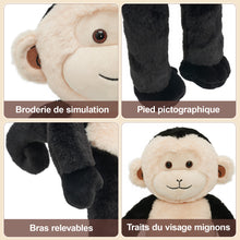 Charger l&#39;image dans la galerie, Peluche singe capucin avec 4 bébés