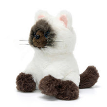 Charger l'image dans la galerie, Ensemble de jeu pour habiller les chatons