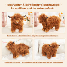 Charger l&#39;image dans la galerie, 40 cm - Peluche géante vache marron des Highlands pour enfants