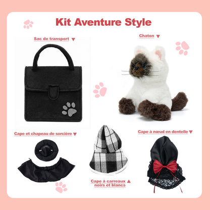 Ensemble de jeu pour habiller les chatons
